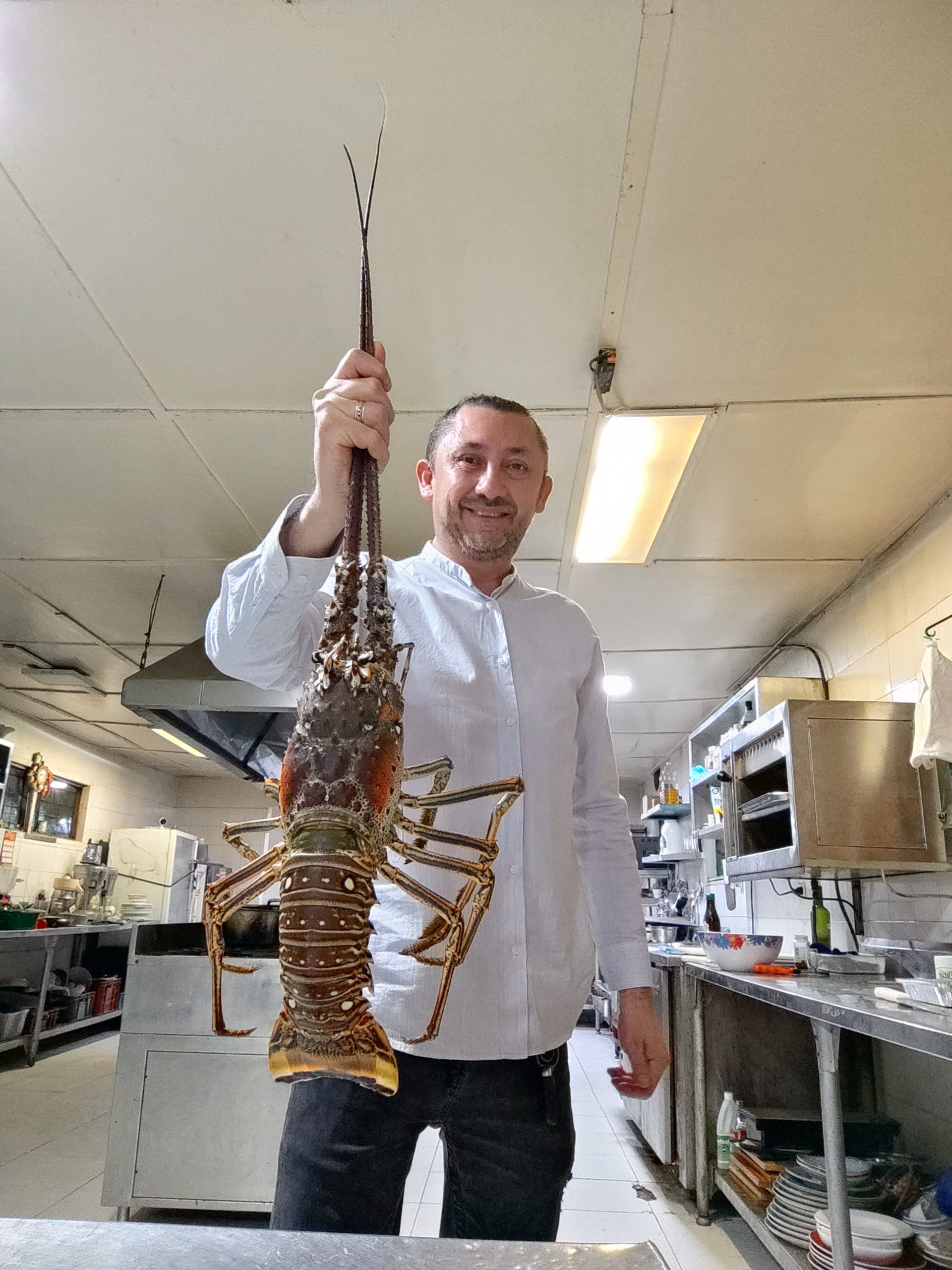 LA LANGOSTA - LA LATINA - seafood and steak house